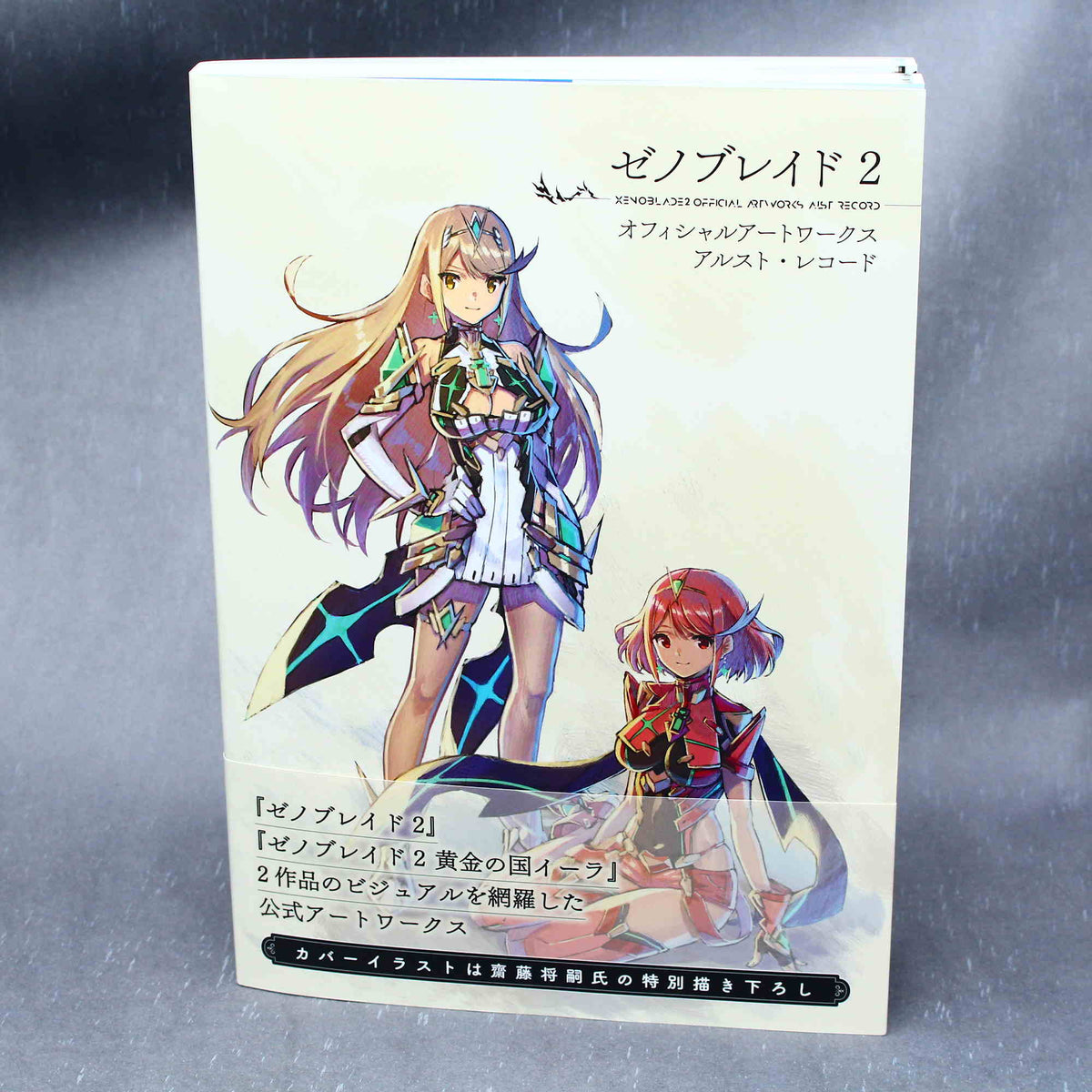 Xenoblade Chronicles 2 Official Artworks Alrest Record – Otaku.co.uk