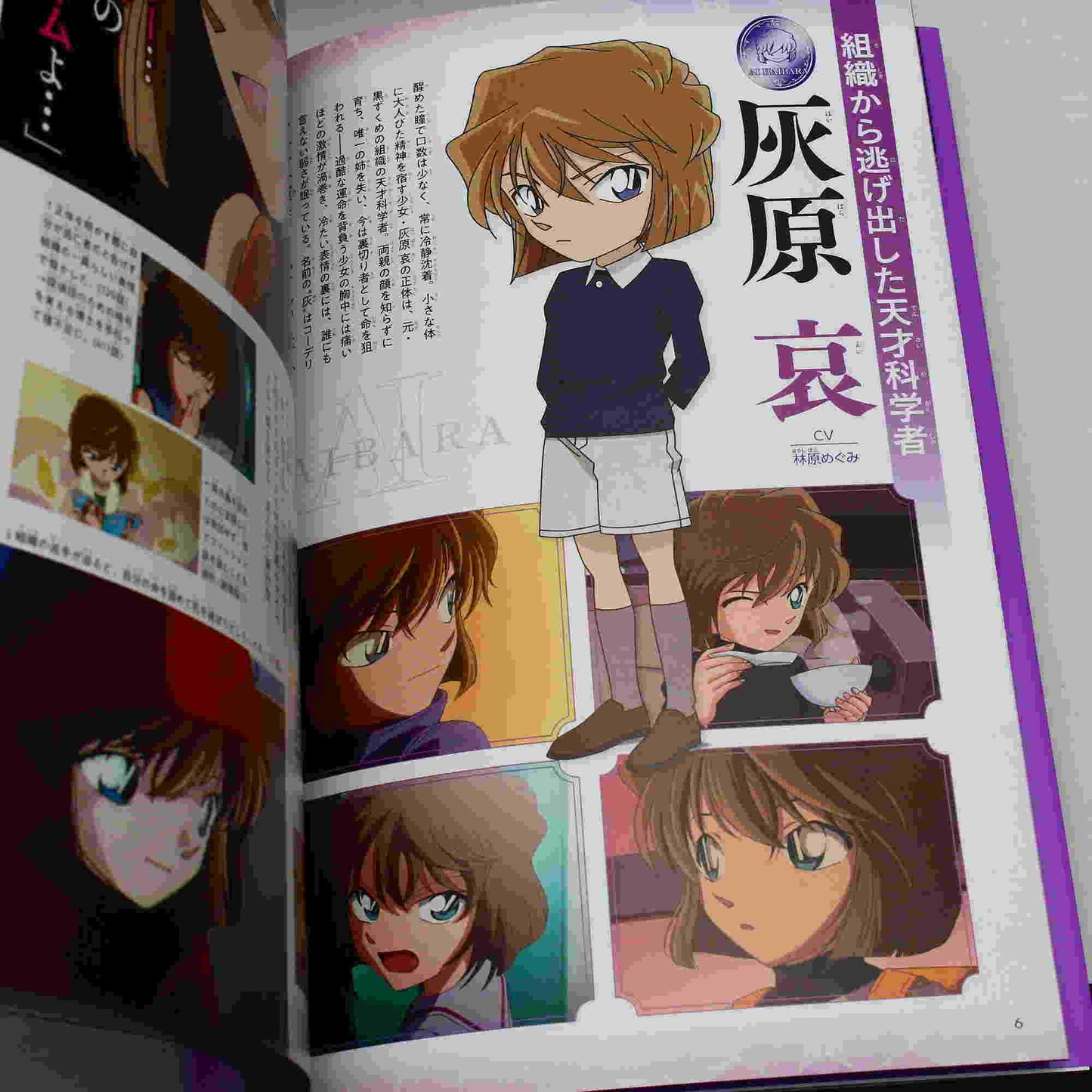 Case Closed / Detective Conan - Ai Haibara Secret Archives