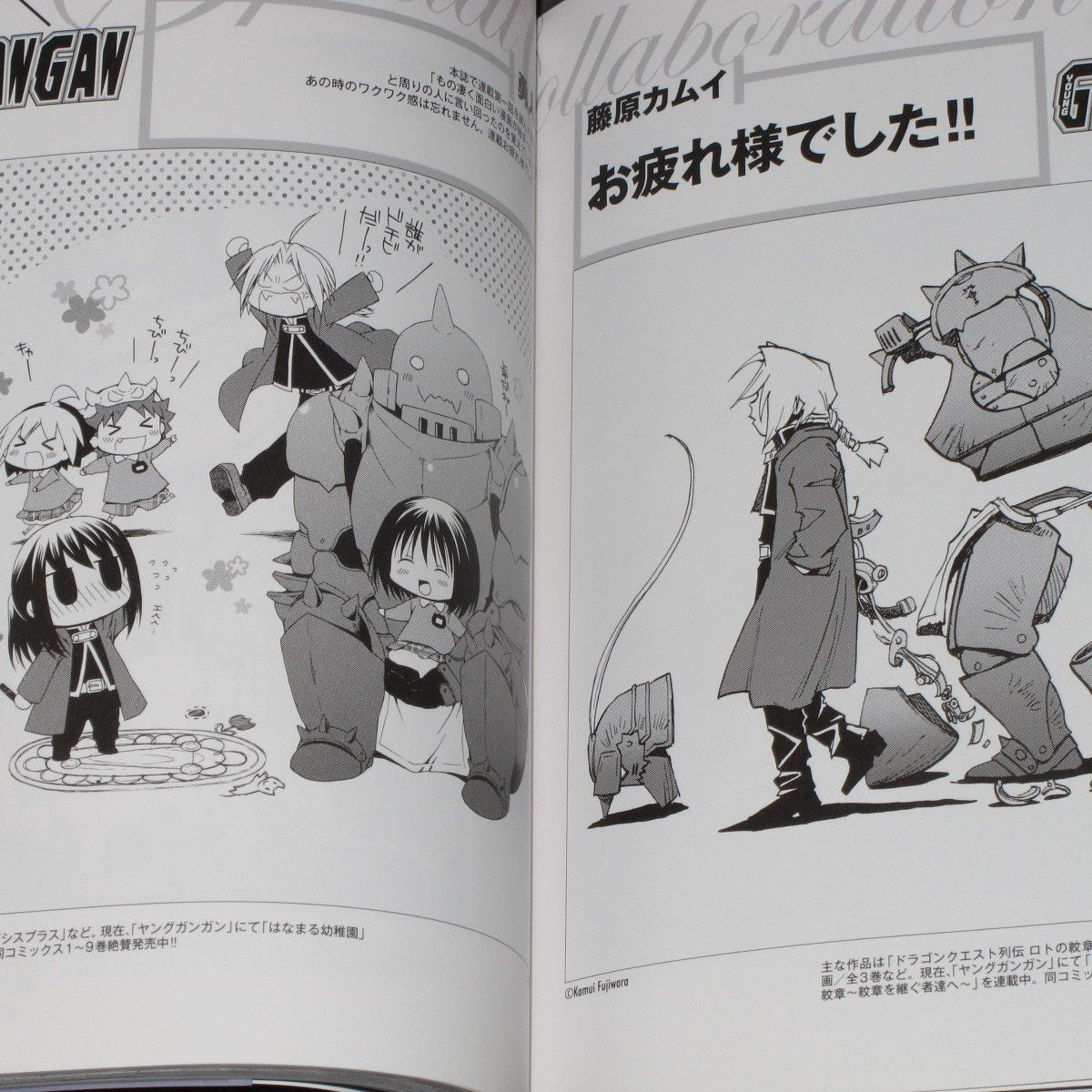 Fullmetal Alchemist Chronicle