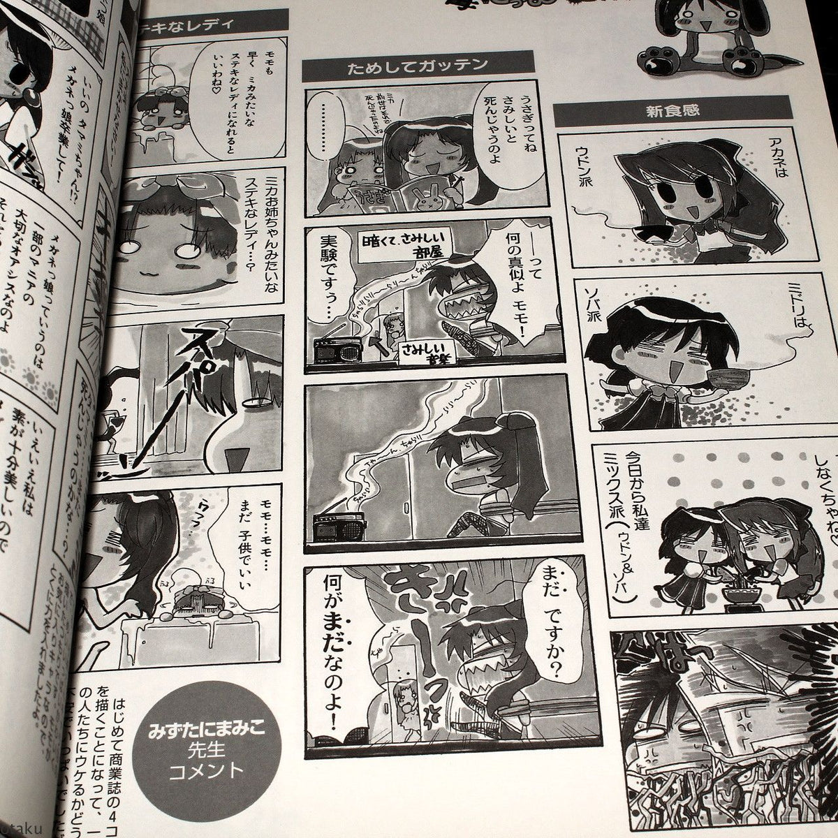Angels Tail Chu / Tenshi No Shippo Chu - Art Book