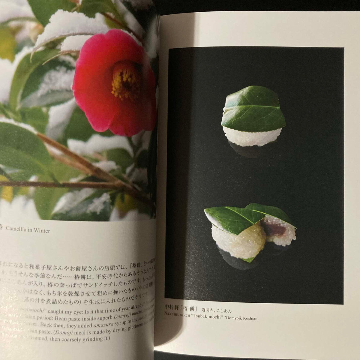 Wagashi - Handy Version - Japanese confectionery