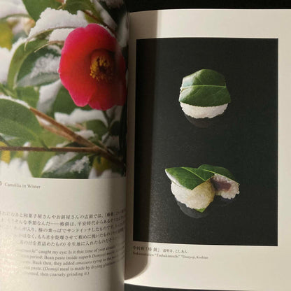 Wagashi - Handy Version - Japanese confectionery