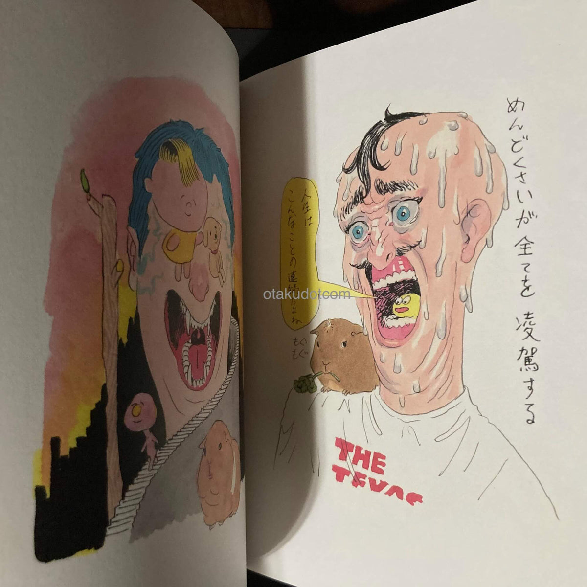 Gakiya Isamu Artbook Simon Simon