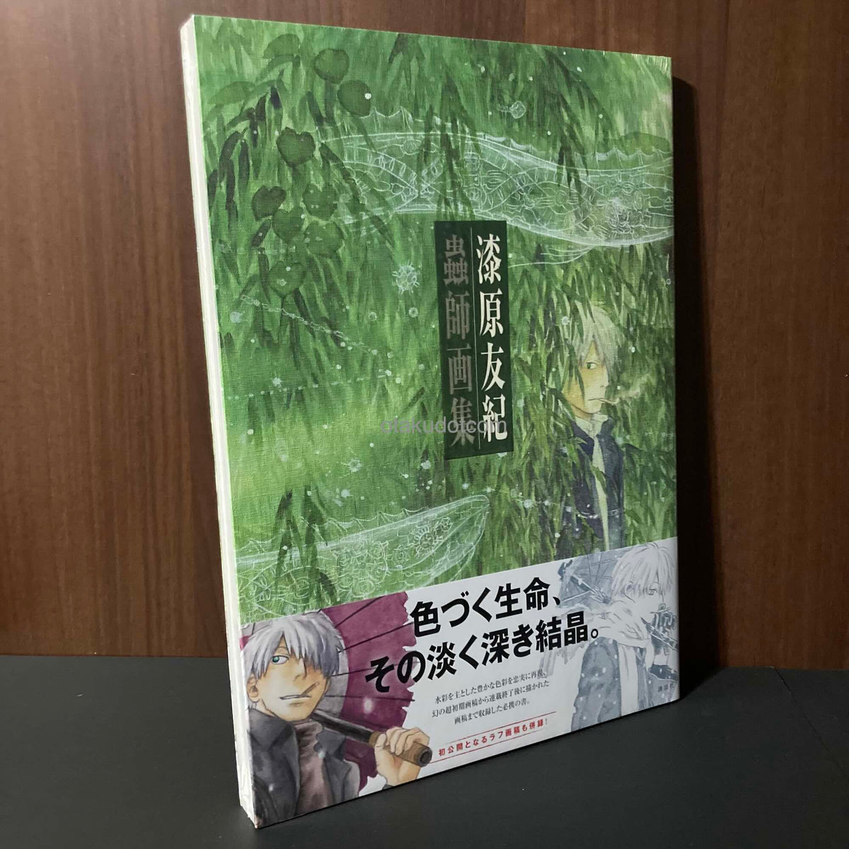 Yuki Urushibara - Mushishi Artworks