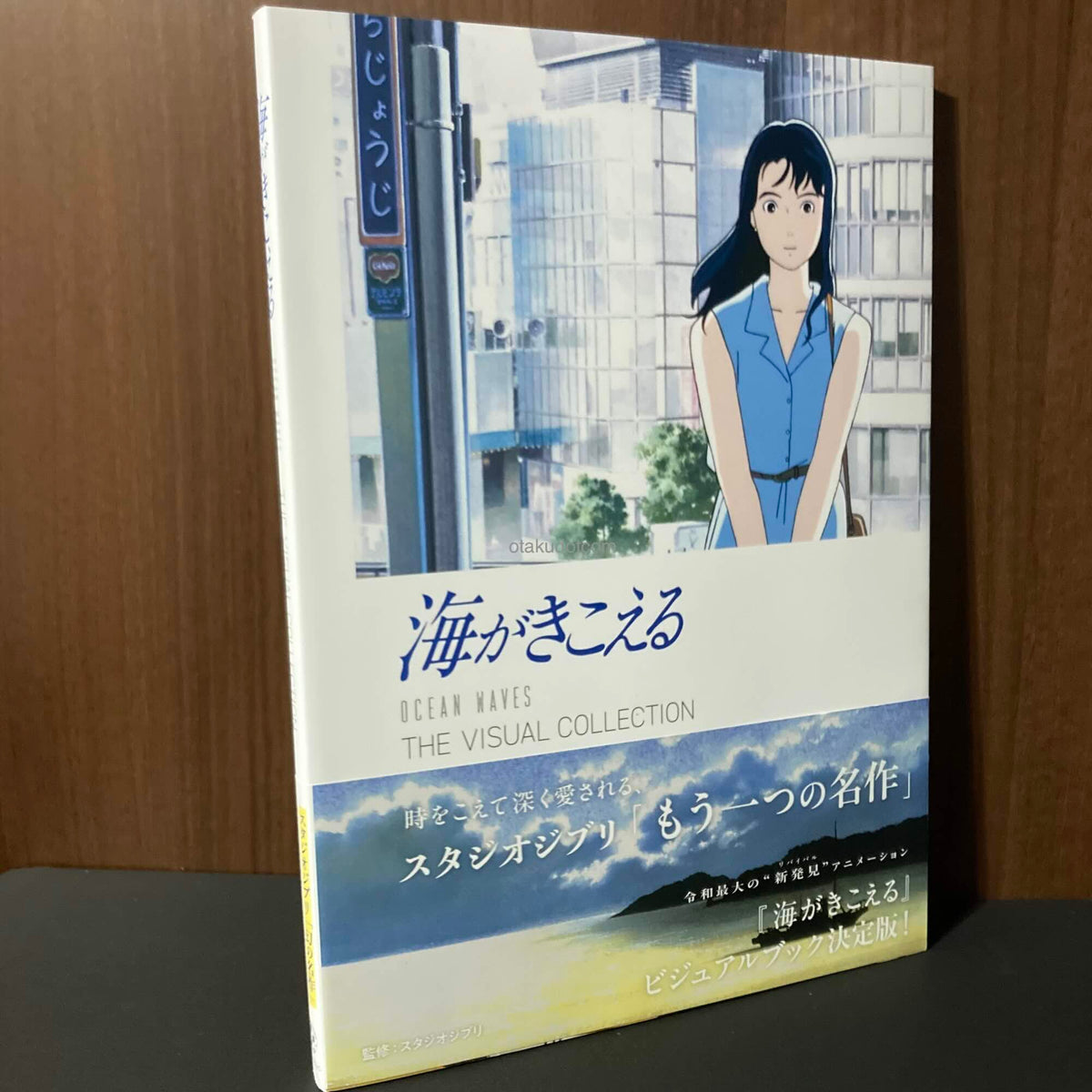 Ocean Waves / Umi ga Kikoeru The Visual Collection
