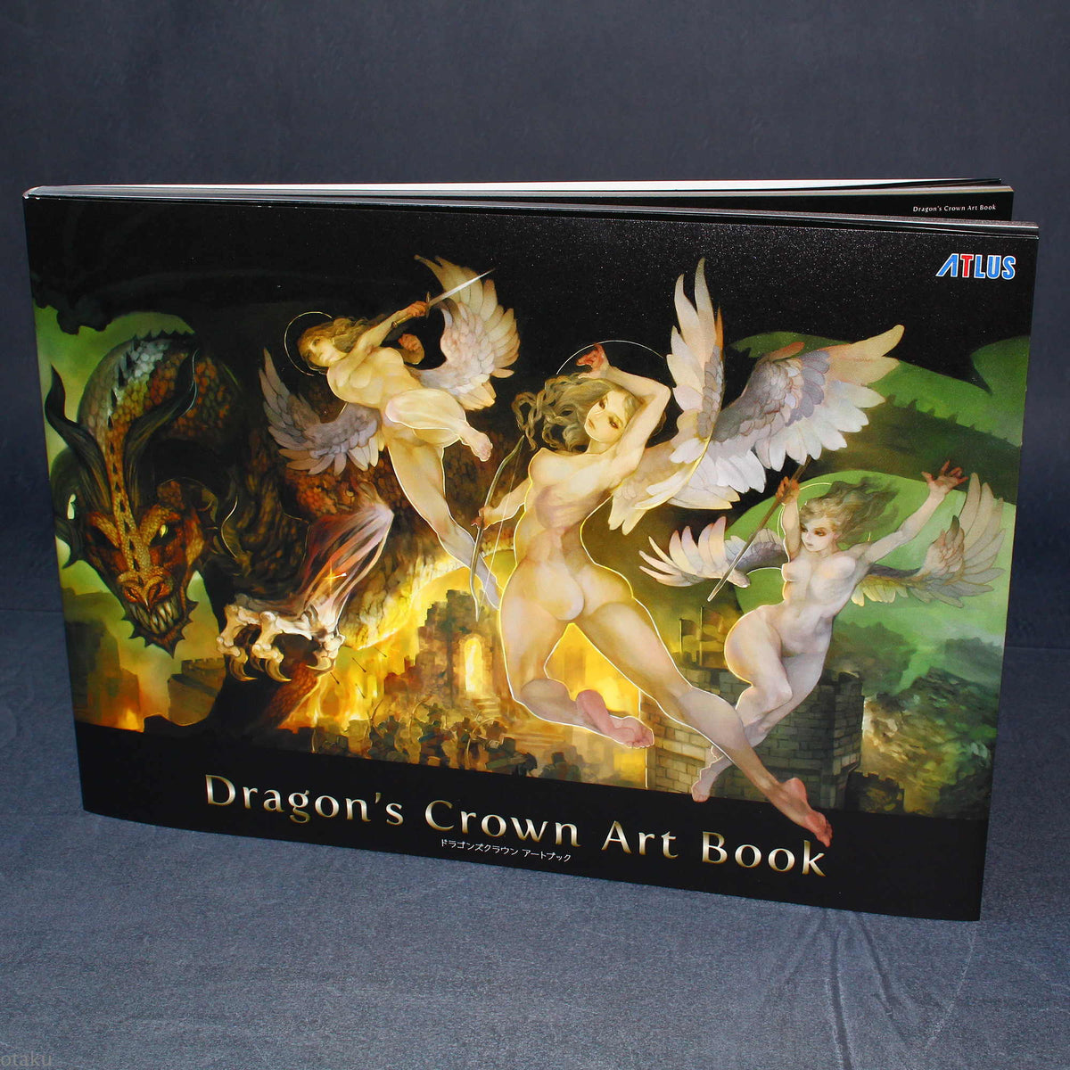 Dragon's Crown Art Book