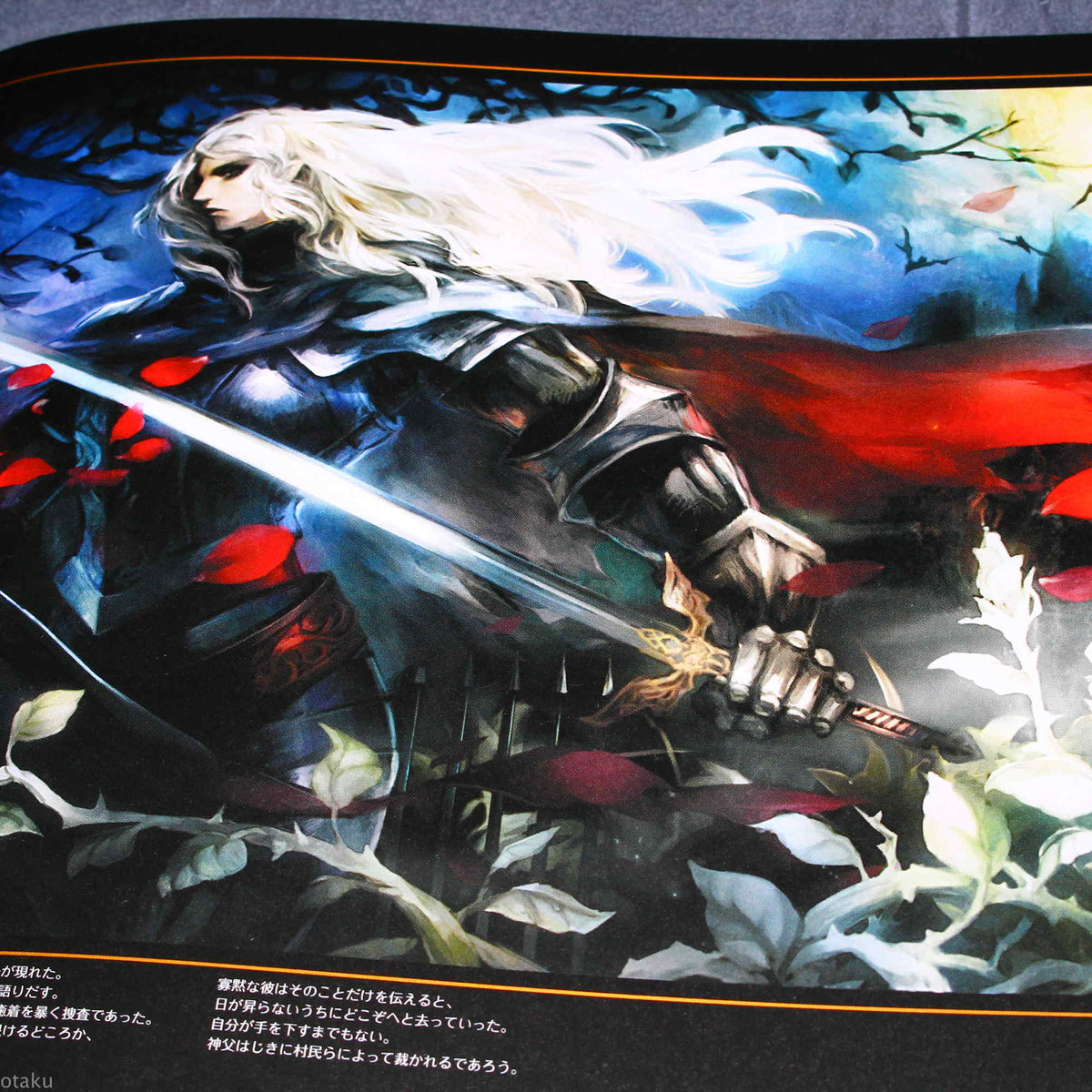 Dragon's Crown Art Book