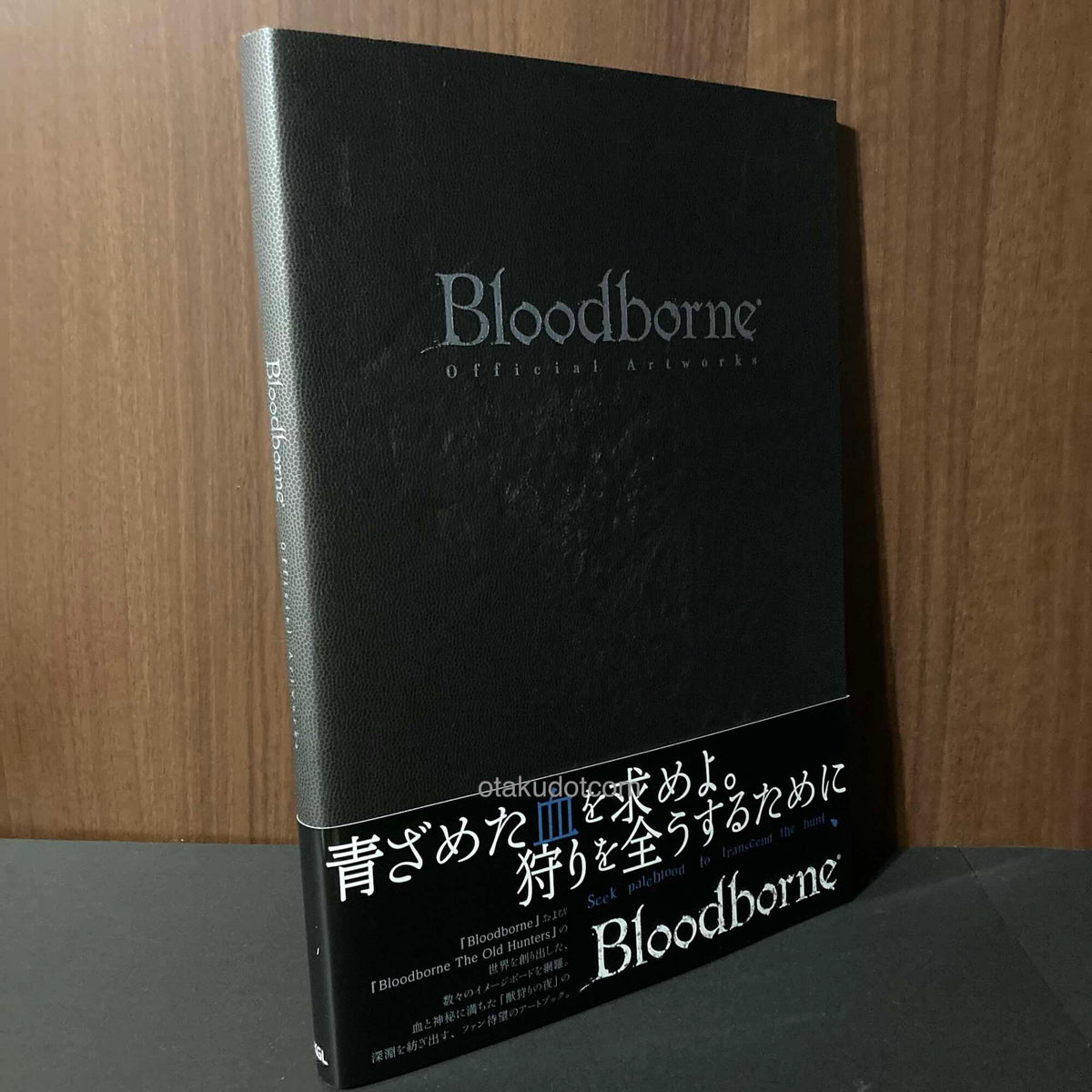 Bloodborne Artworks