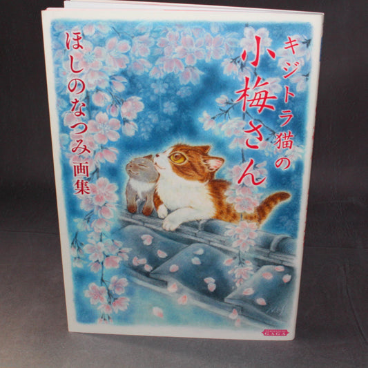 Natsumi Hoshino Artworks: Kijitora Neko no Koume-san