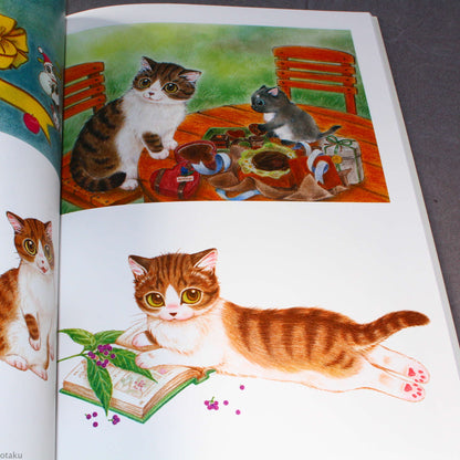 Natsumi Hoshino Artworks: Kijitora Neko no Koume-san