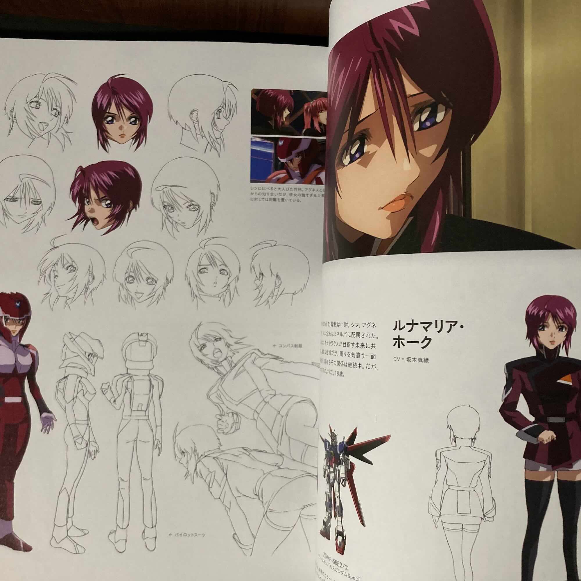 Gundam Seed FREEDOM Character Archive – Otaku.co.uk