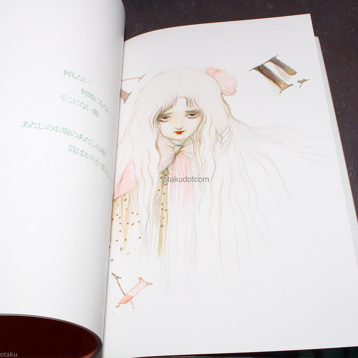 Angel's Egg / Tenshi no Tamago - Shojoki - Art Book