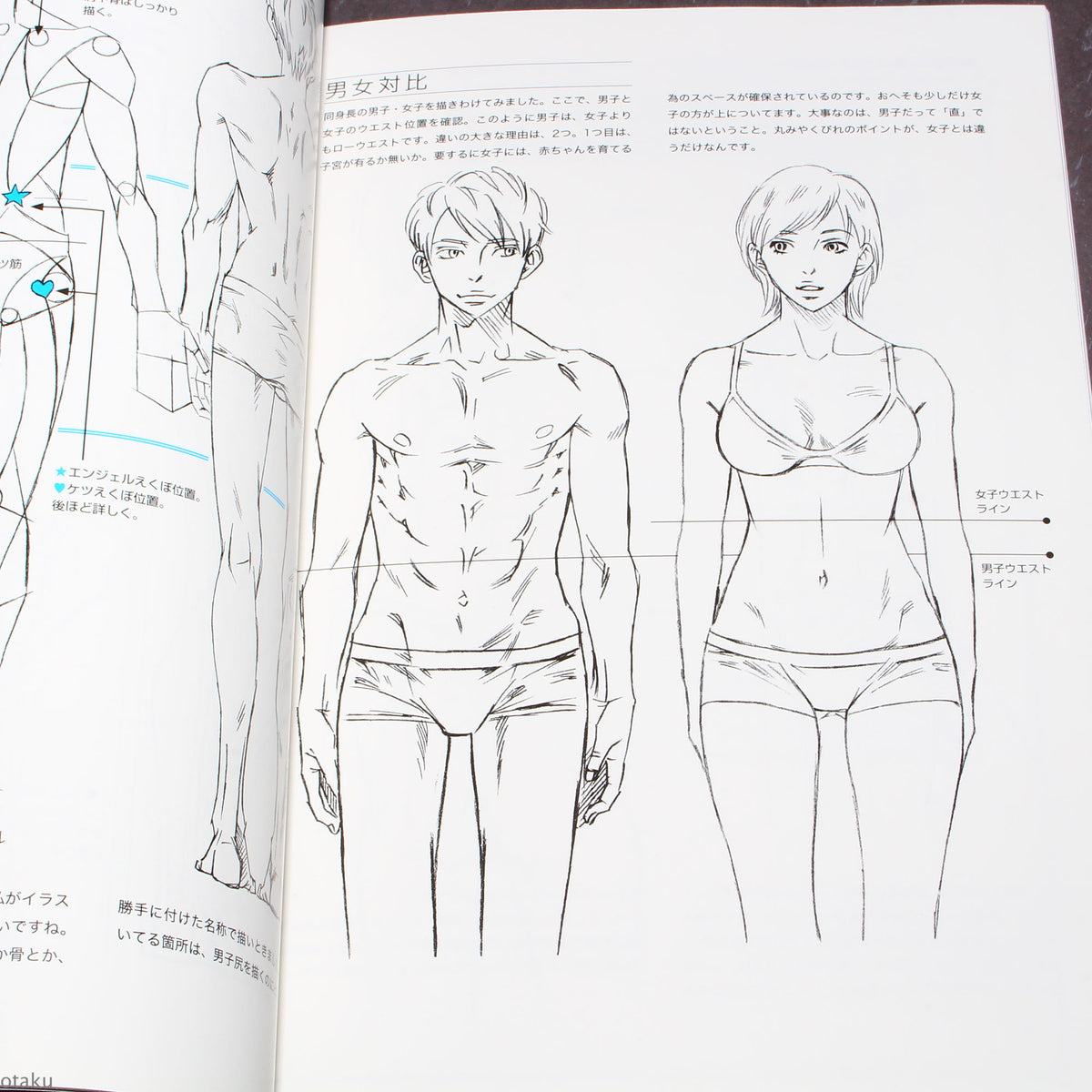 How to Draw - Drawing Men’s Hips