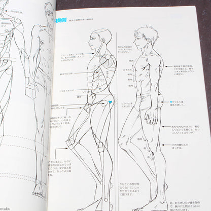 How to Draw - Drawing Men’s Hips