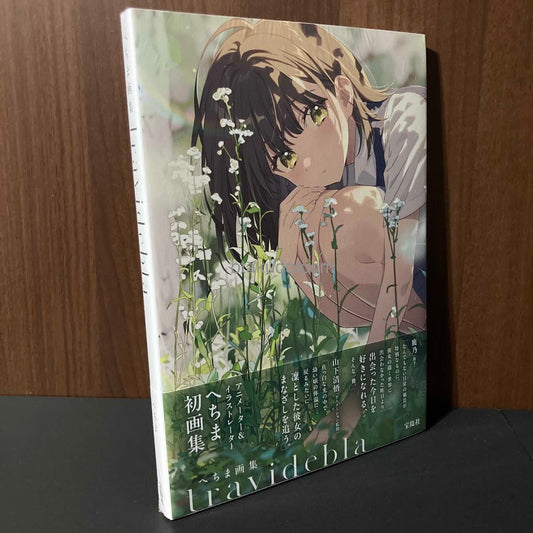 Hechima Artbook Travidebla