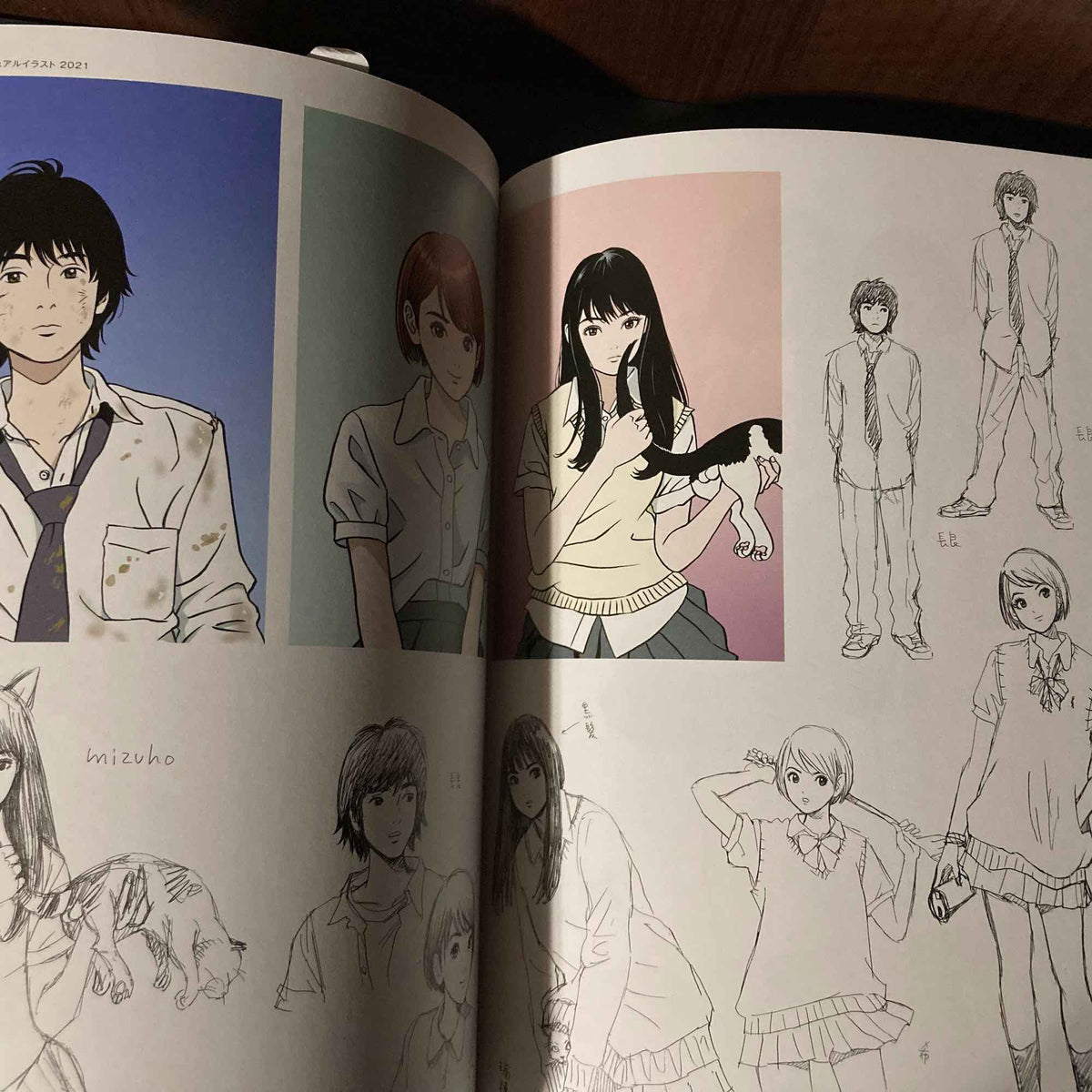 Step 2 - Eguchi Hisashi Illustration Book