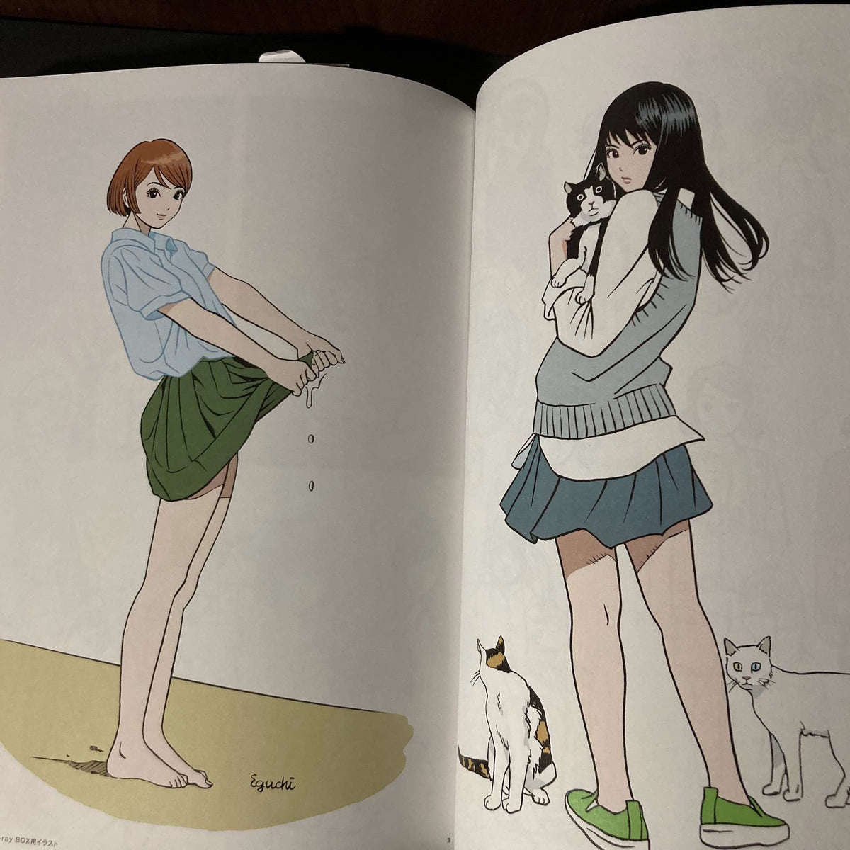 Step 2 - Eguchi Hisashi Illustration Book