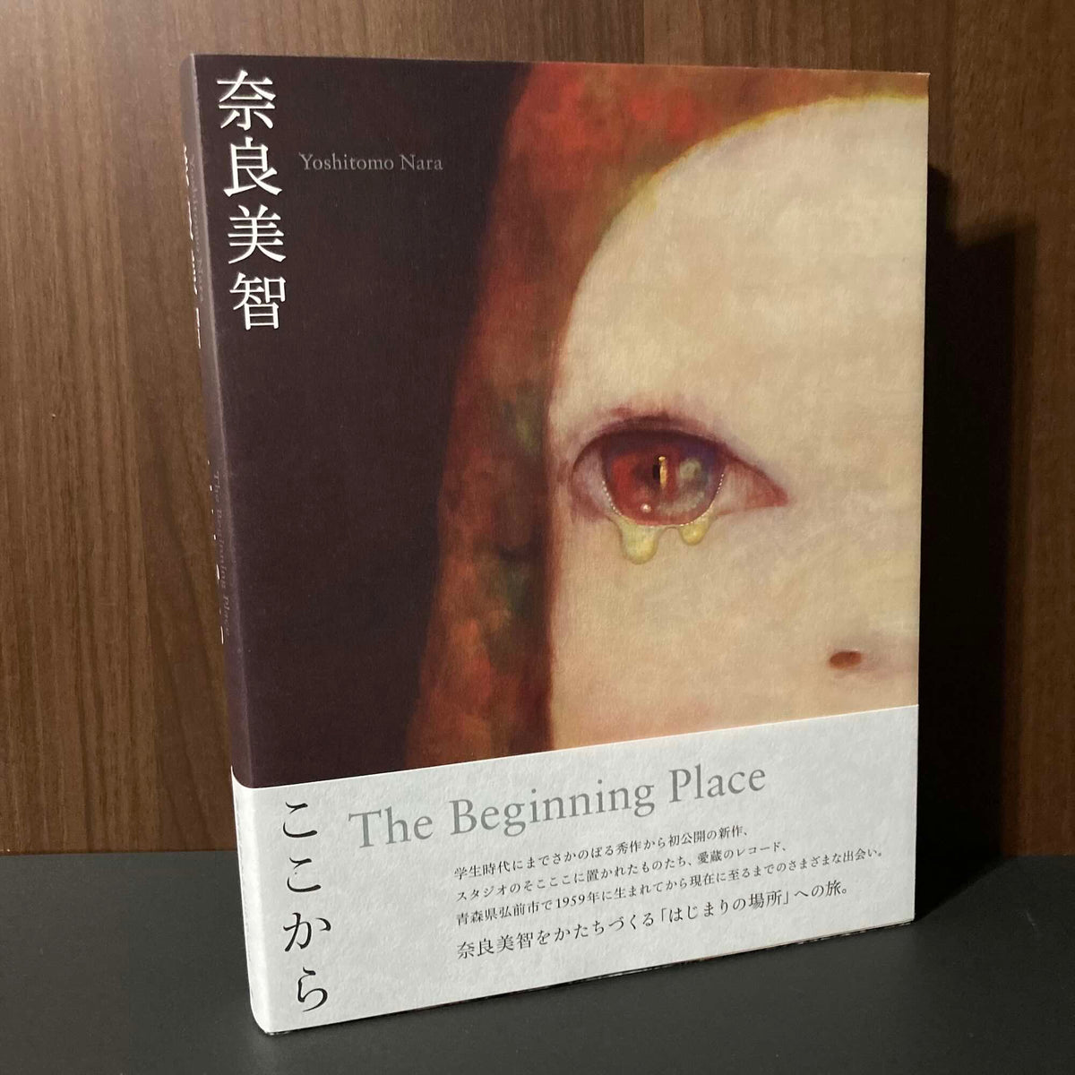 Yoshitomo Nara The Beginning place