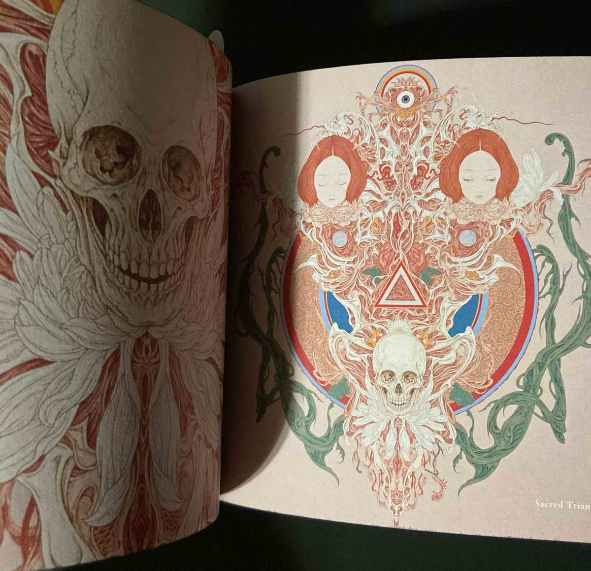 Takato Yamamoto - Skull's Box