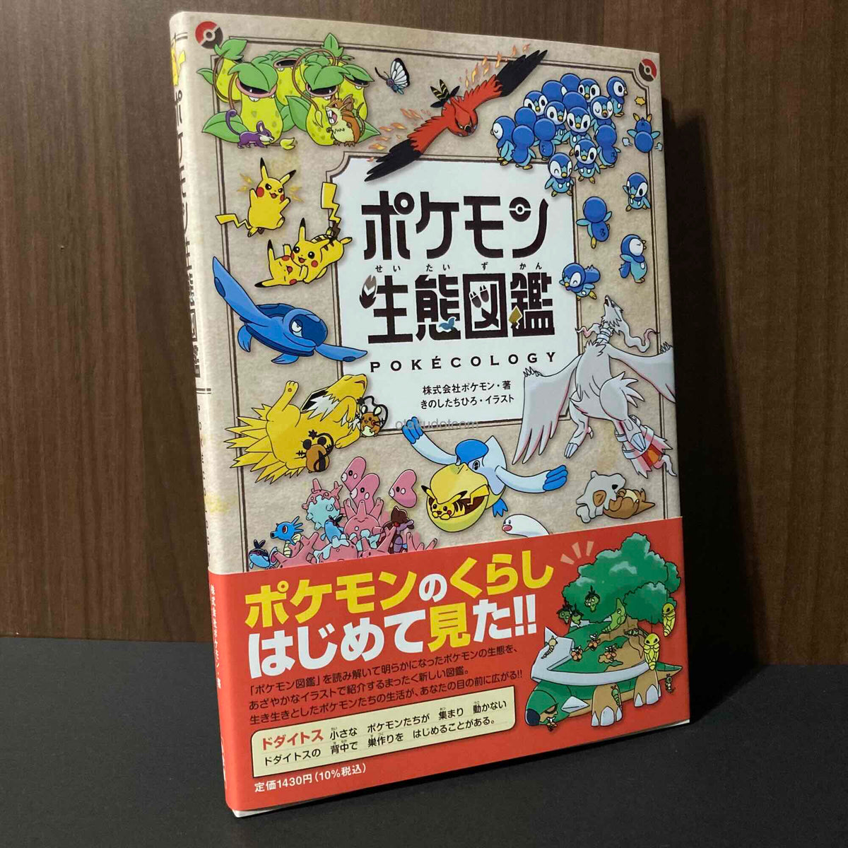 Pokemon Pokecology Encyclopedia