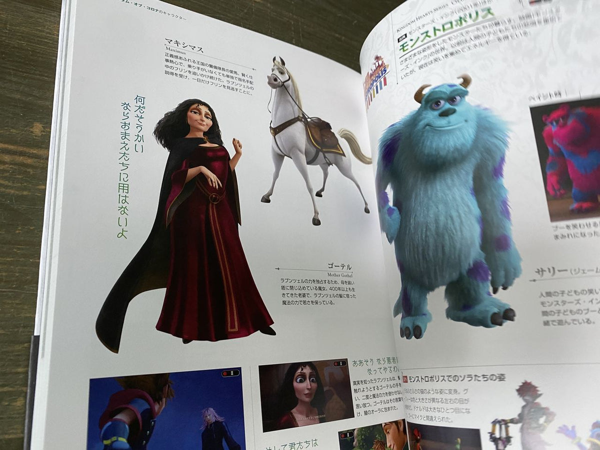 Kingdom Hearts Series Character Files