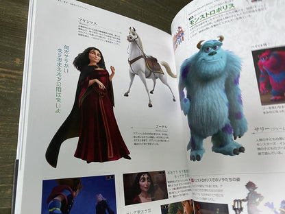 Kingdom Hearts Series Character Files