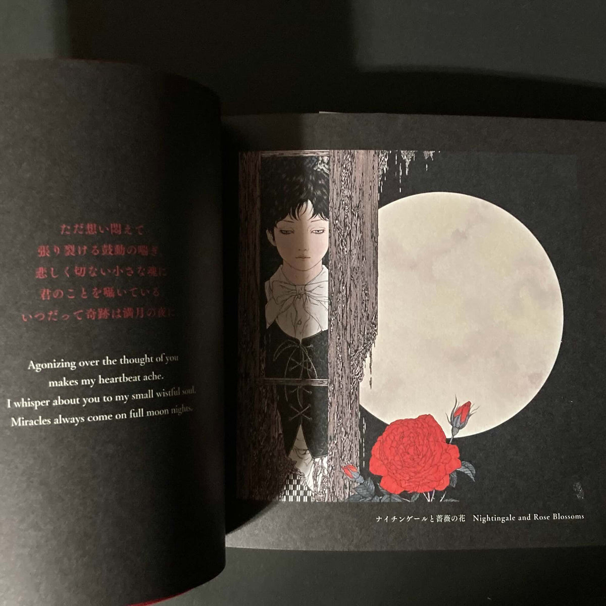 Takato Yamamoto Vampire's Box