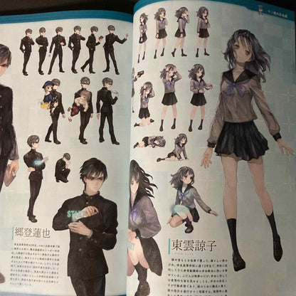 Vanillaware Official Art Book Vanilla Mania