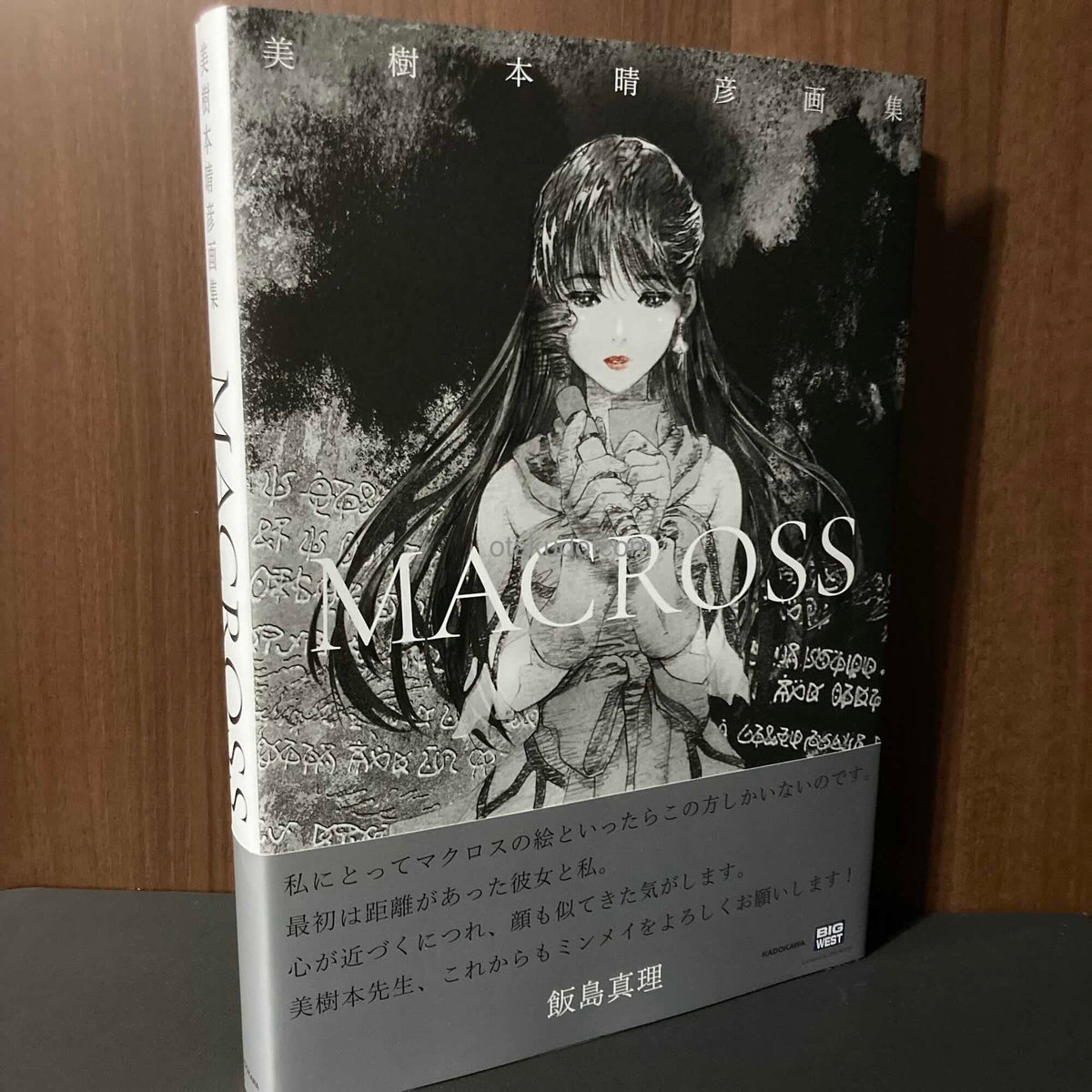 Macross Haruhiko Mikimoto Artworks