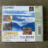 Warriors of Fate (Tenchi wo Kurau 2)