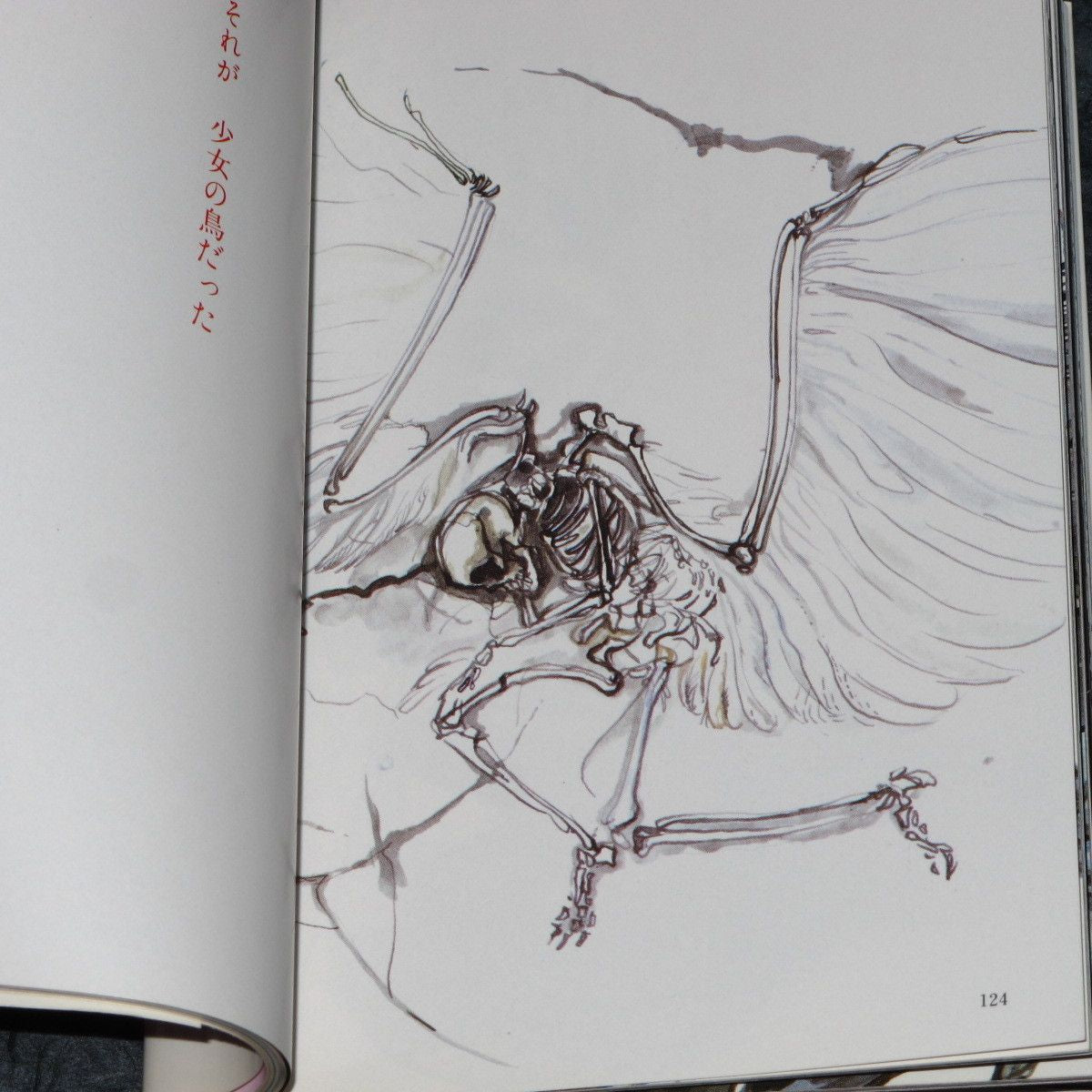 Angel's Egg - Yoshitaka Amano