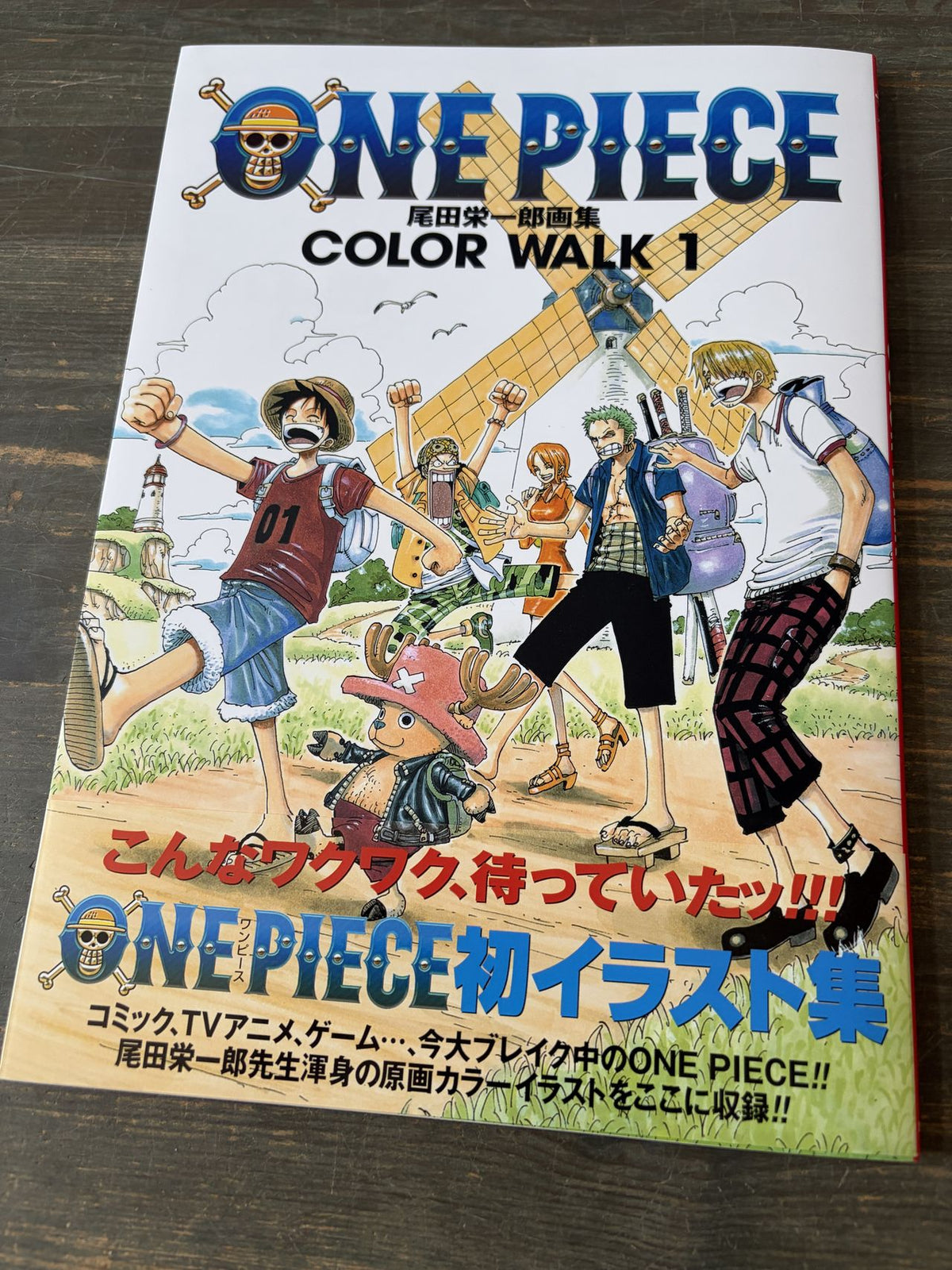 One Piece Color Walk 1