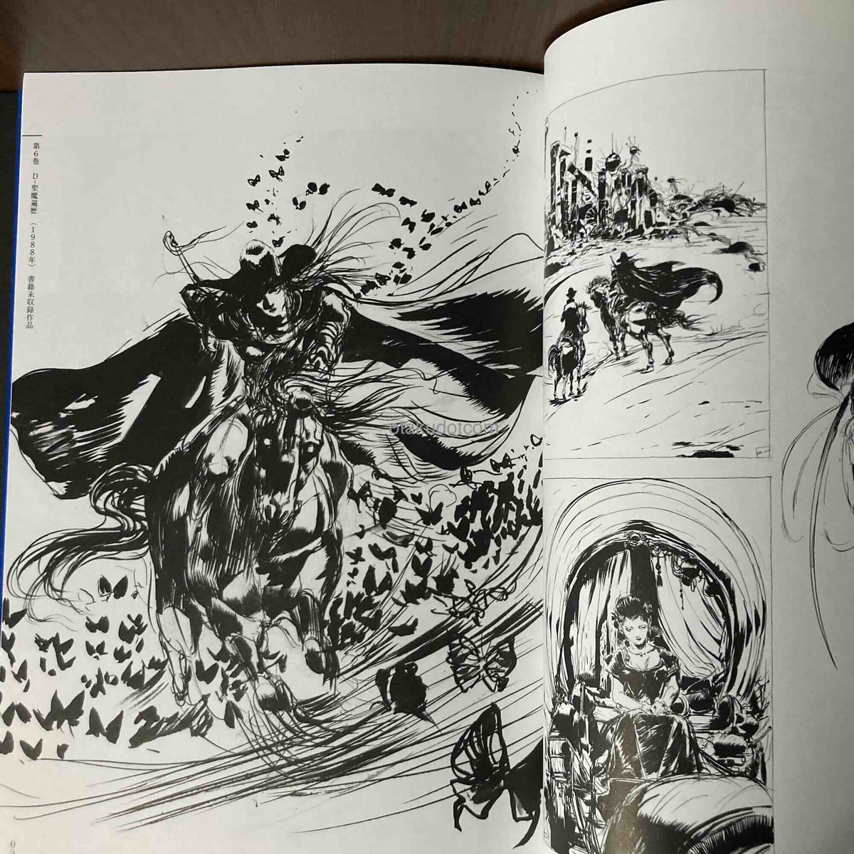Yoshitaka Amano - Vampire Hunter D Illustration