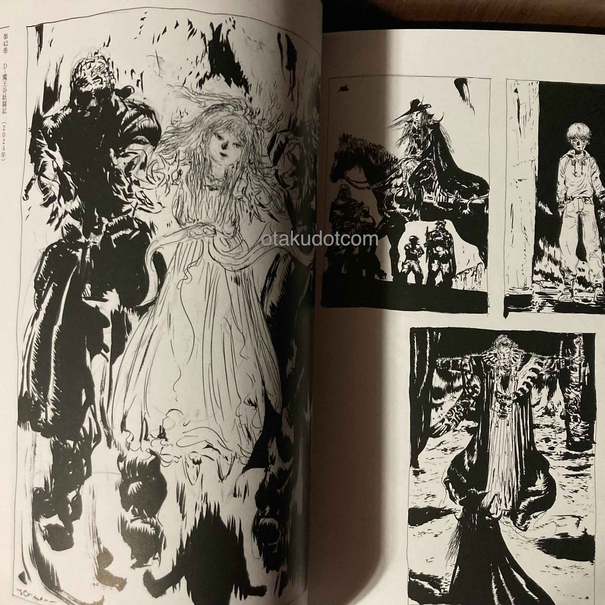 Yoshitaka Amano - Vampire Hunter D Illustration