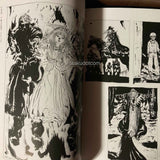 Yoshitaka Amano - Vampire Hunter D Illustration