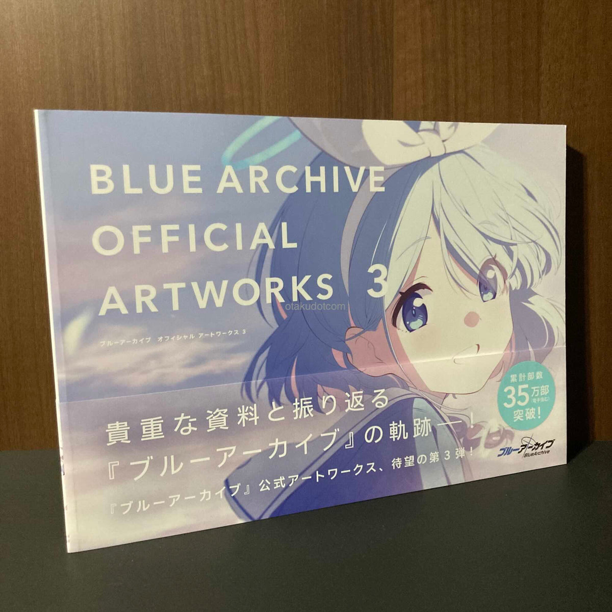 Blue Archive Official Artworks 3