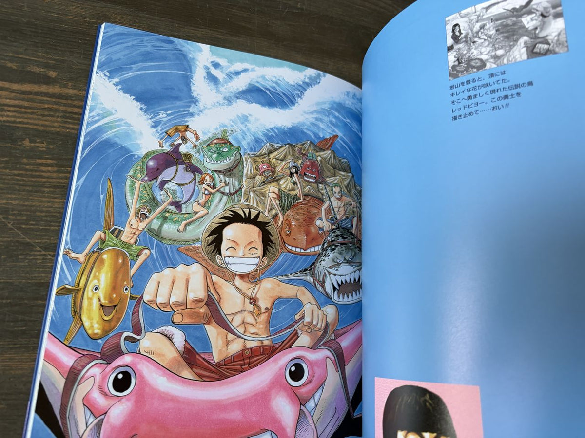 One Piece Color Walk 3 - Lion