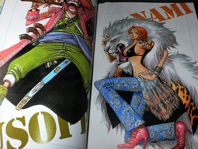 One Piece Color Walk 4 - Eagle