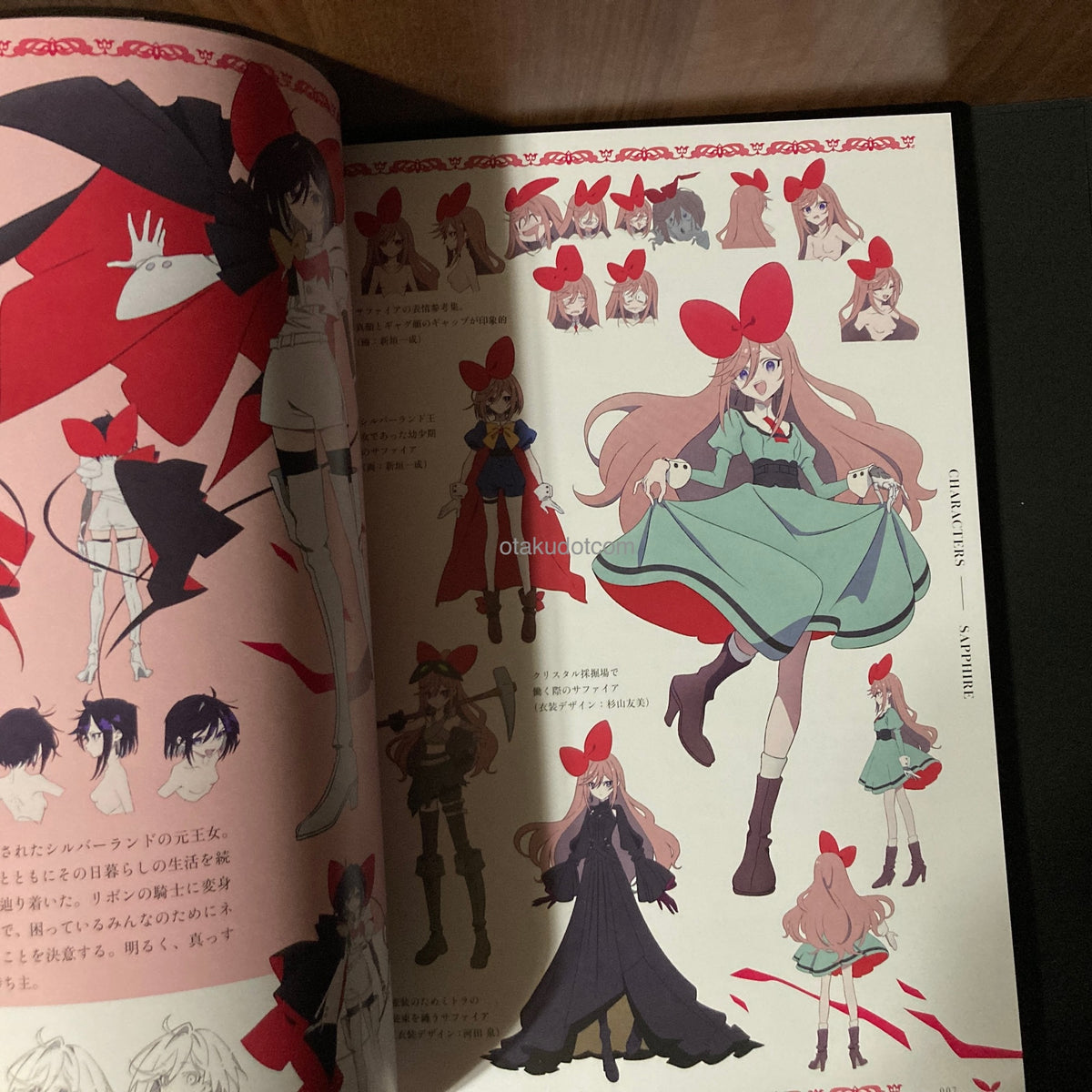 THE RIBBON HERO Official Guide Book - Curtain Call