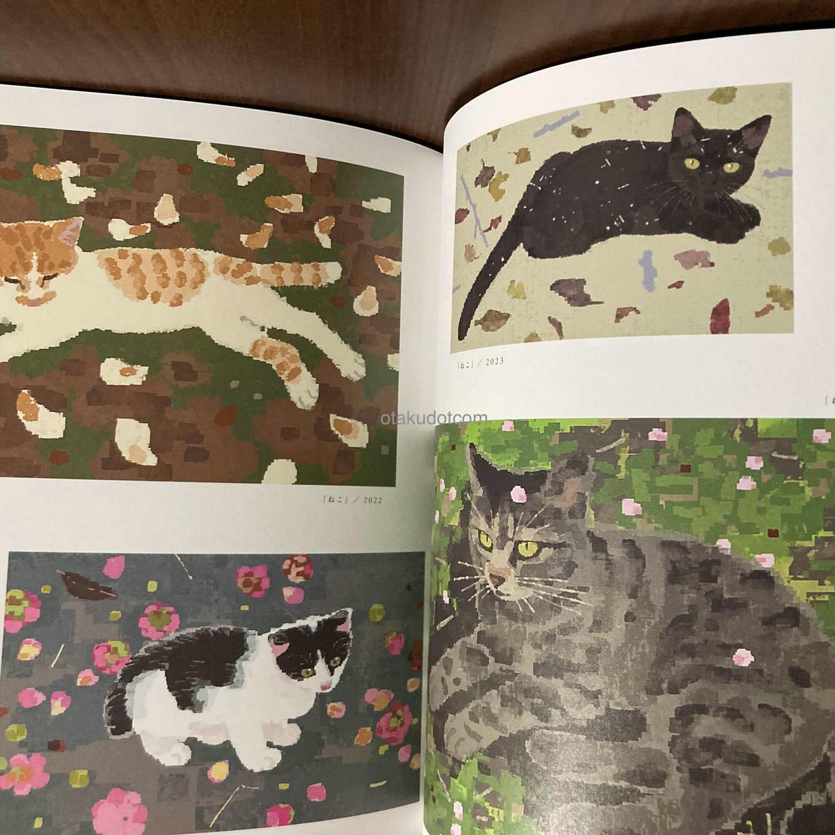 Jun Kumaori Art book