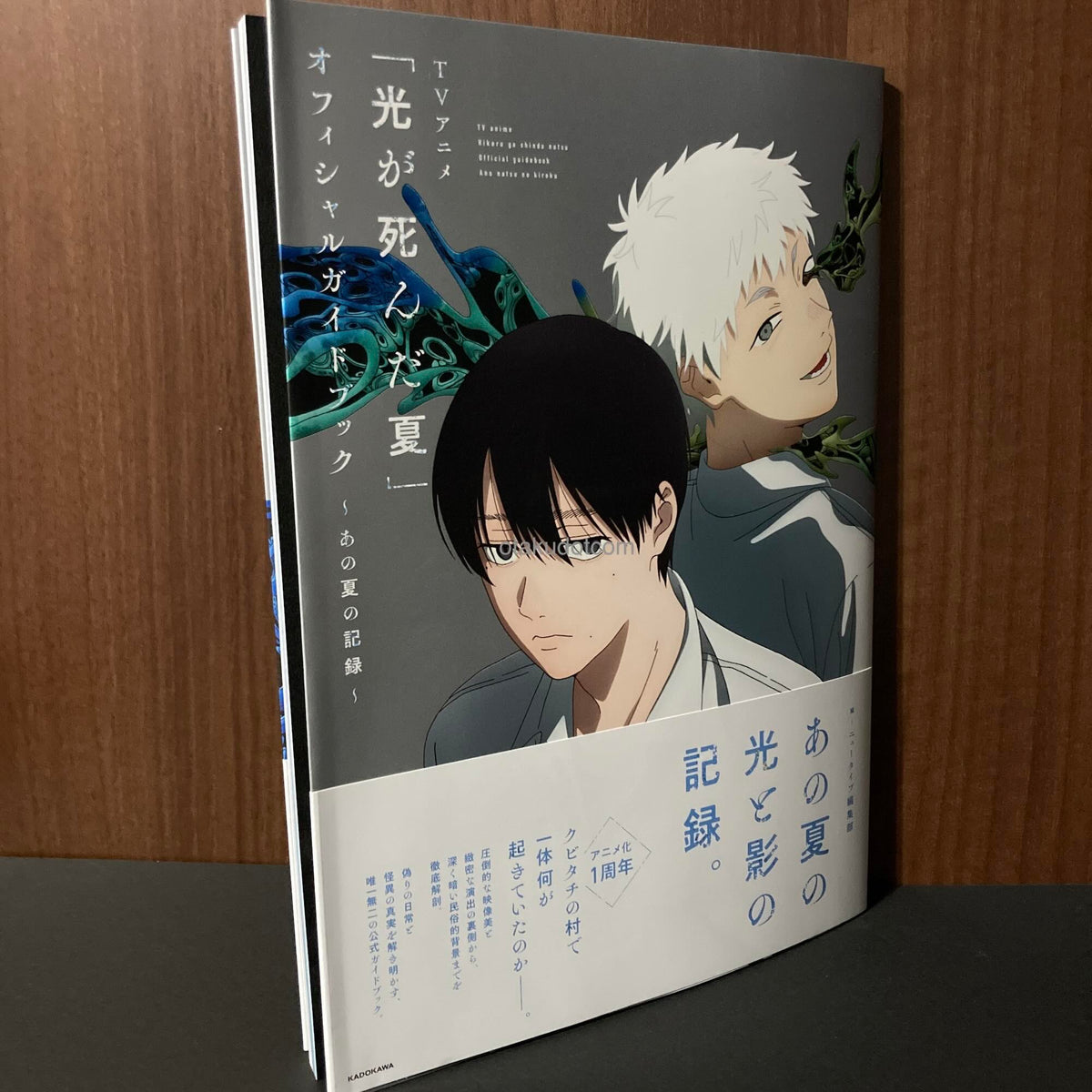 The Summer Hikaru Died Official Guidebook