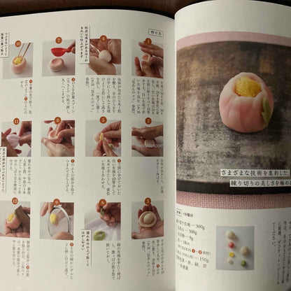 How to make Wagashi -  beginners guide for Wagashi