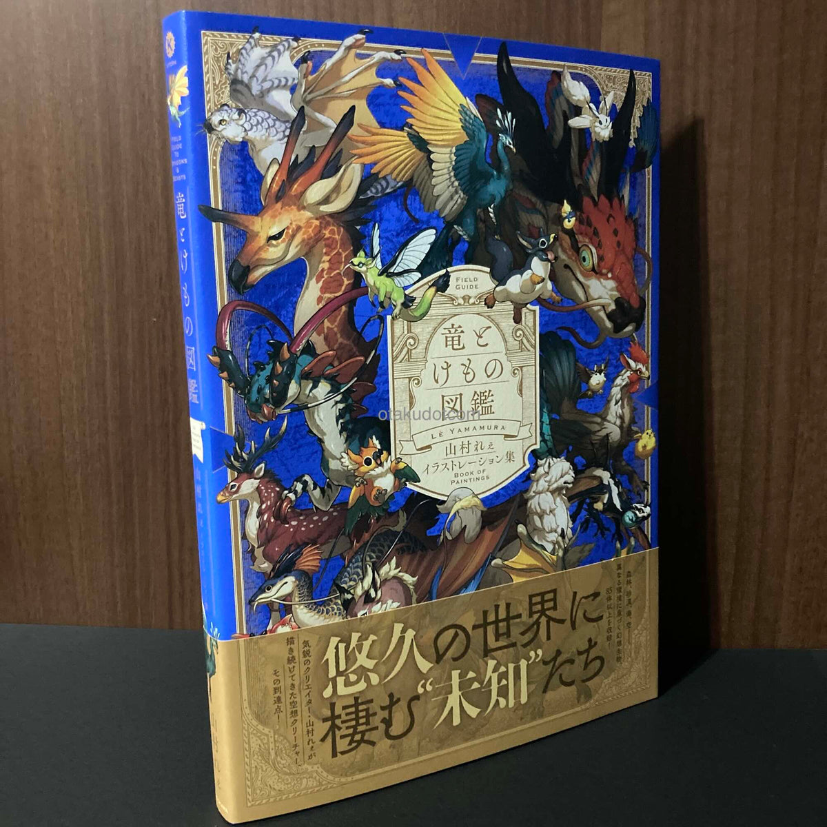 The Encyclopedia of Dragons and Beasts - Le Yamamura Illustrations