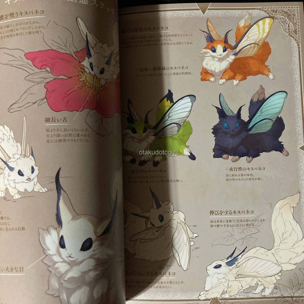 The Encyclopedia of Dragons and Beasts - Le Yamamura Illustrations