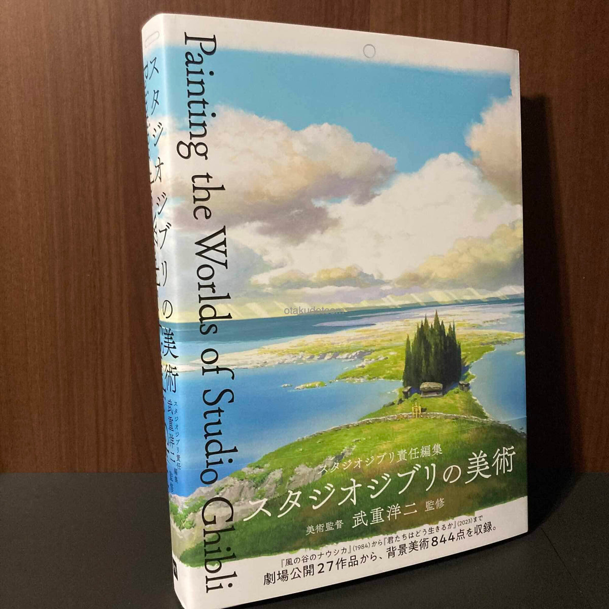 Painting the worlds of Studio Ghibli