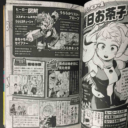 MY HERO ACADEMIA Final Fanbook Ultra Age