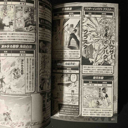 MY HERO ACADEMIA Final Fanbook Ultra Age