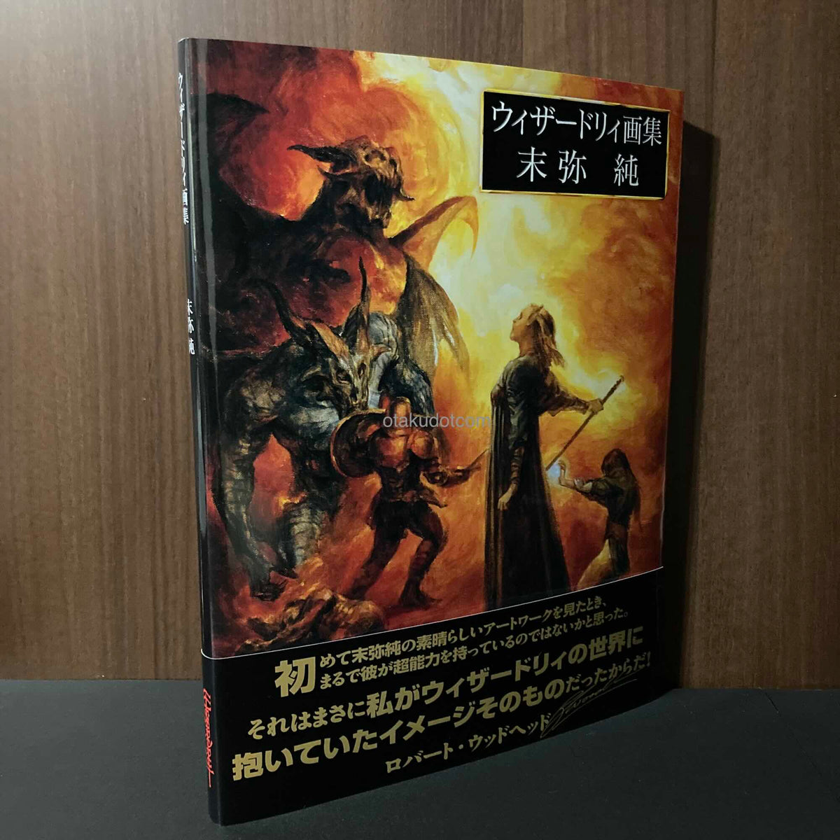 Wizardry - Jun Suemi Artworks