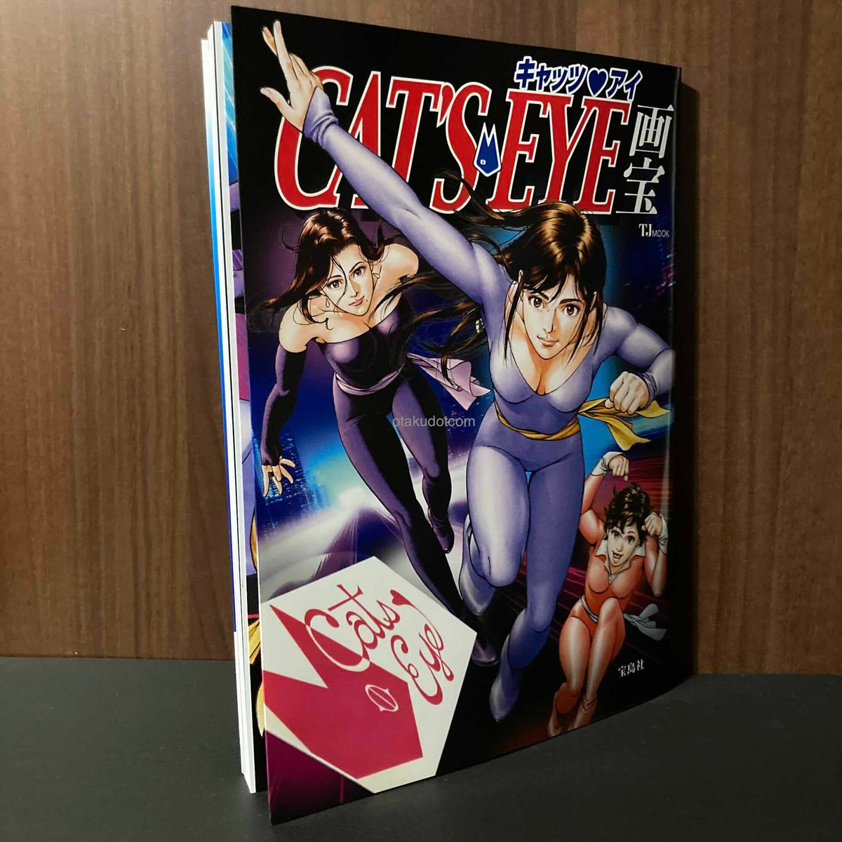 Cat's Eye Gaho 45th Anniversary Art and Guide Book