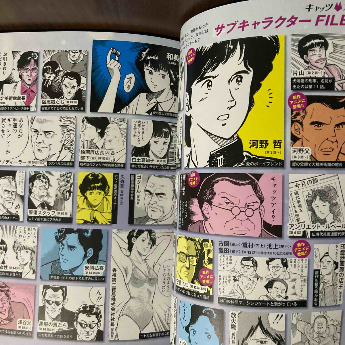 Cat's Eye Gaho 45th Anniversary Art and Guide Book